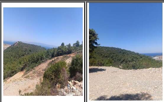 Bodrum Gökburun’a 662,8 Milyon TL’lik Turizm Tesisi: 50 Apart ve 100 Yatak Kapasiteli Projeye ÇED Olumlu Kararı 6